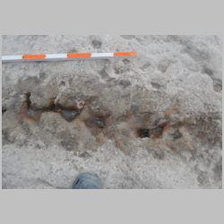 14-DSCN1507 Close showing protrusions.jpg